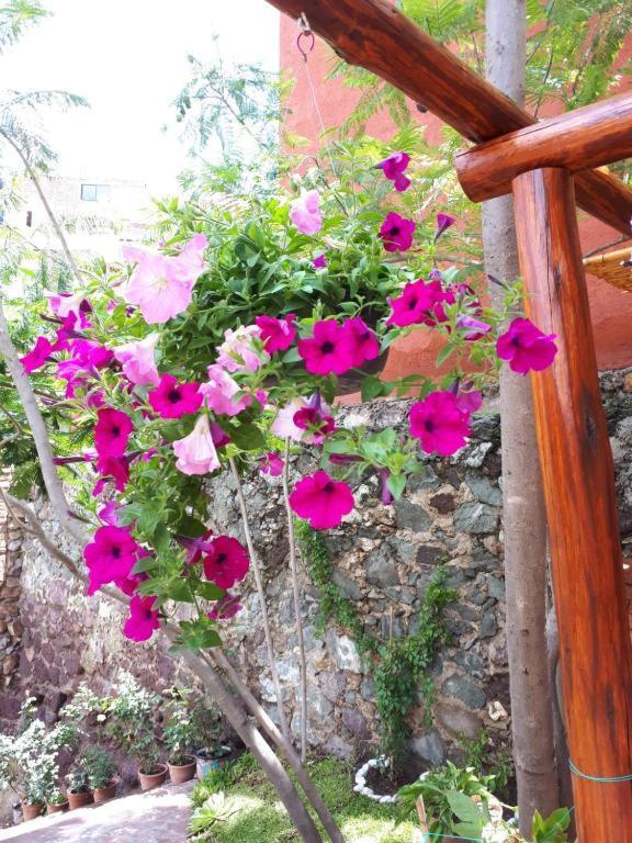 Casita Privada Del Chan Guanajuato Kültér fotó
