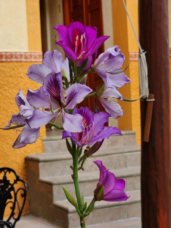 Casita Privada Del Chan Guanajuato Kültér fotó